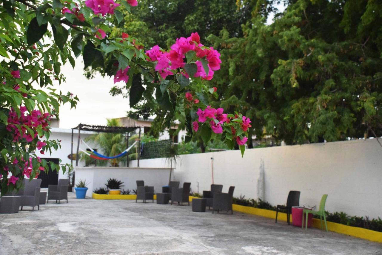 Hostal Casa Bohemia Mérida Exterior photo